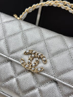 19 sequin Flap Bag