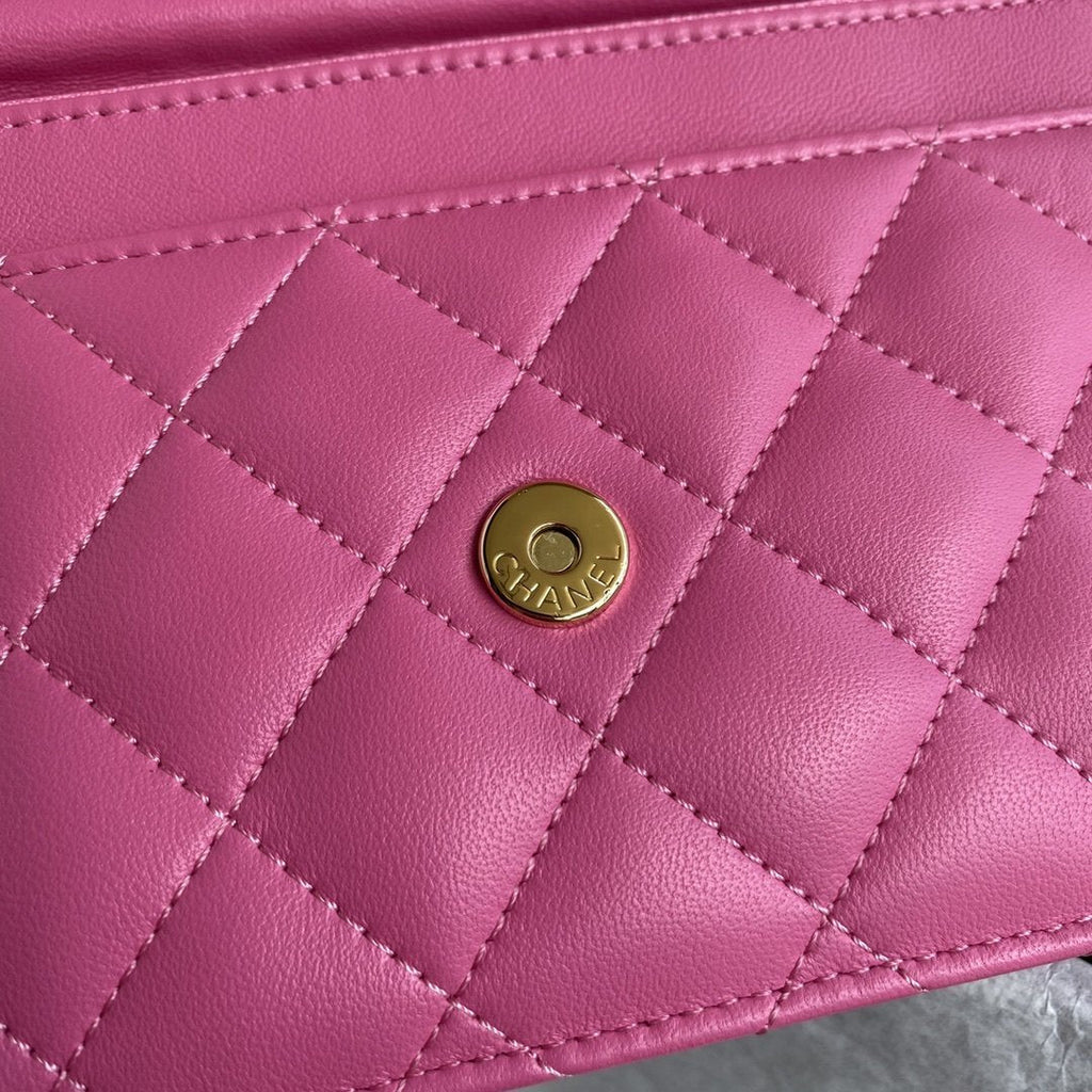 Wallet on chain Pink