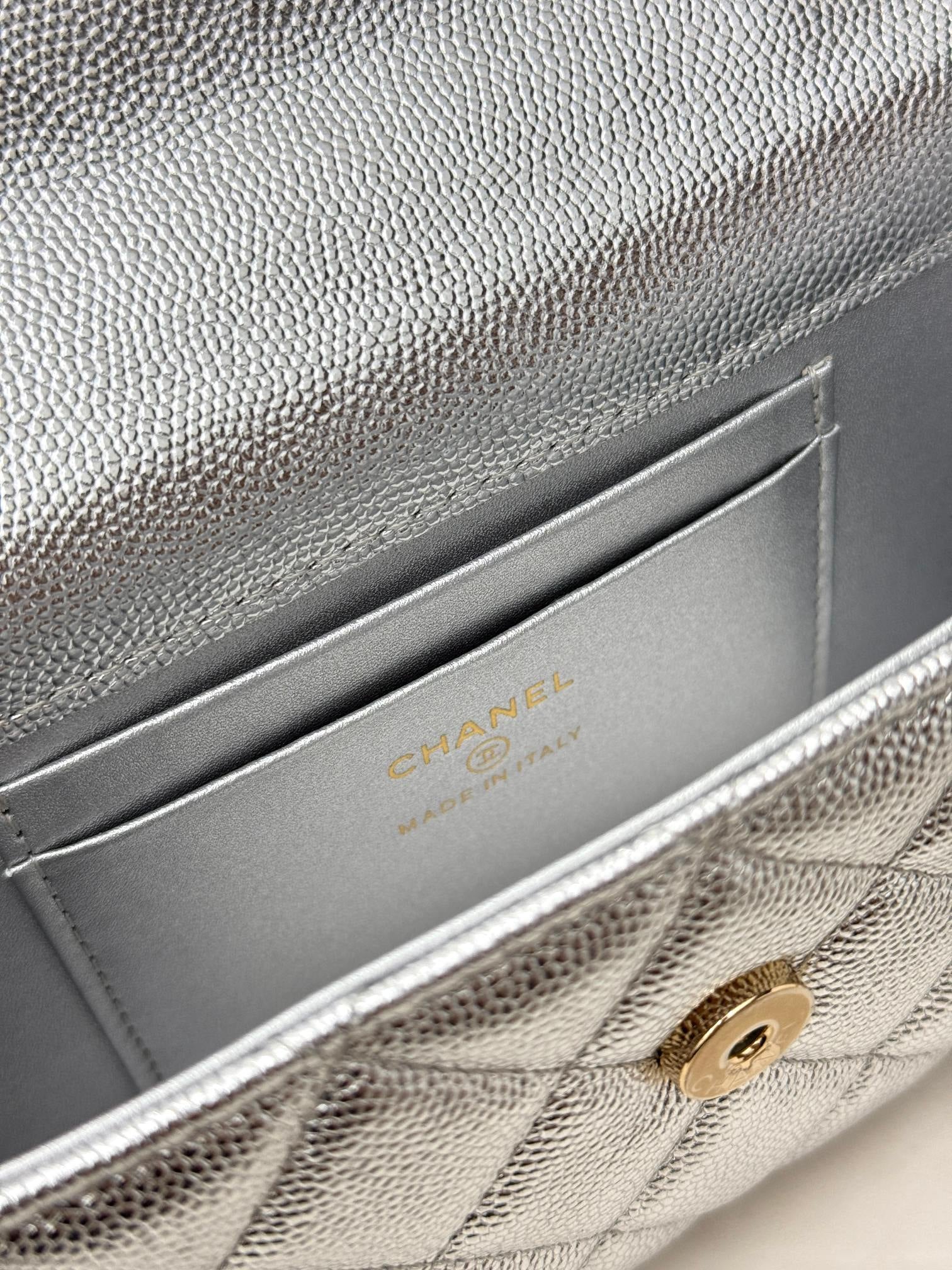 19 sequin Flap Bag