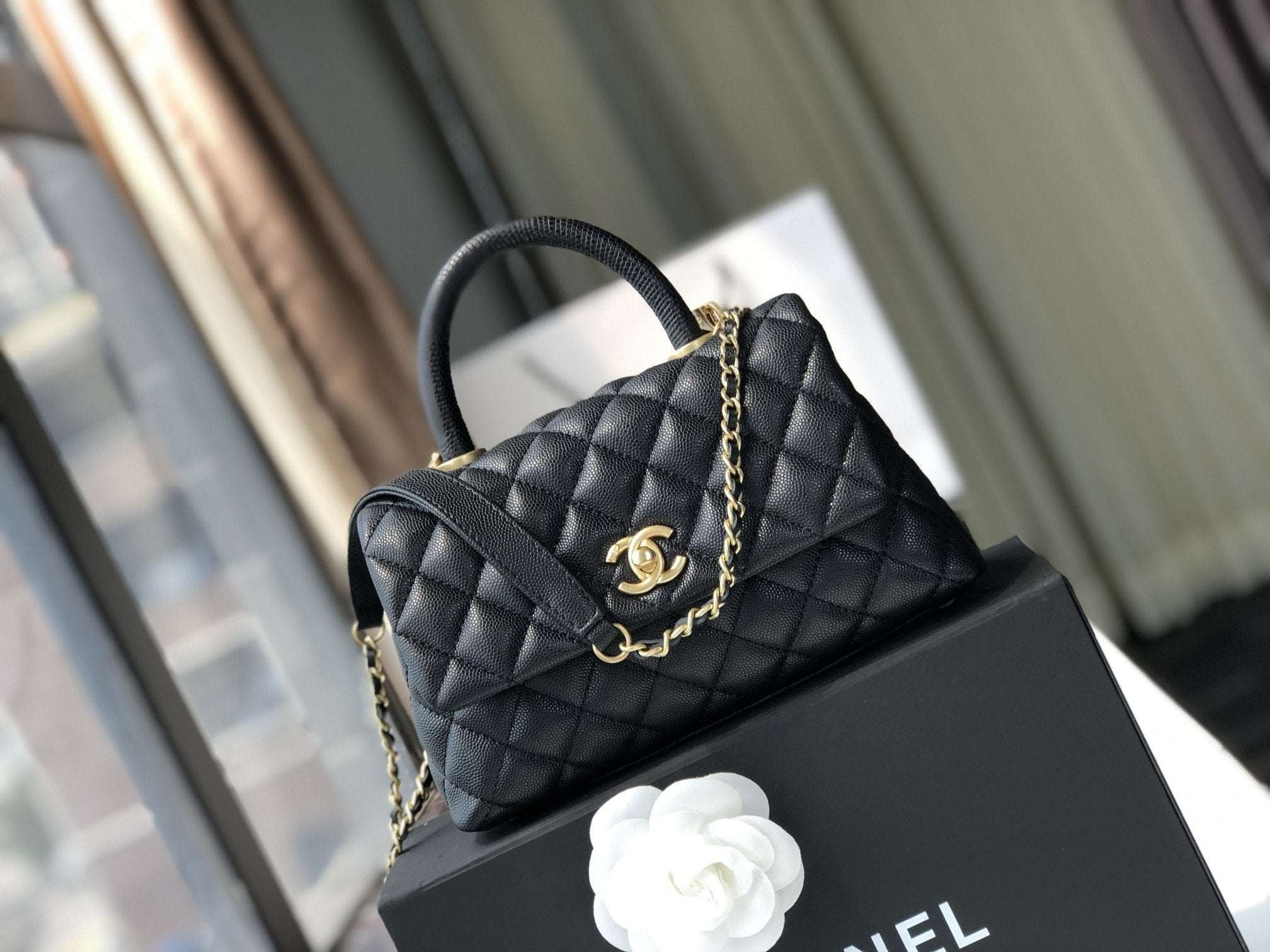 small flap Bag With Coco Handle